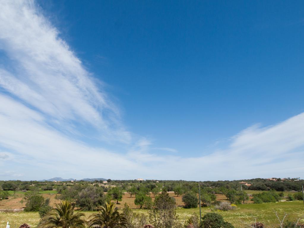Agroturismo S Hort De Can Carrio Ag226 Ses Salines  Eksteriør bilde